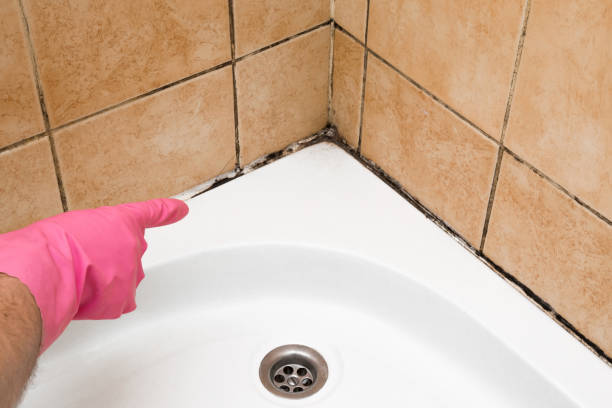 Best Bathroom Mold Remediation in Four Corners, MT